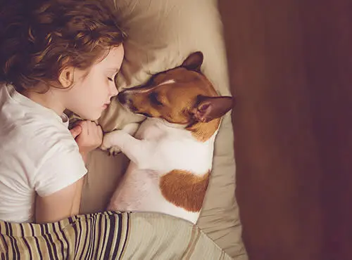 Ett barn och en liten hund sover gott tack vare effektiv ljudisolering i barnrummet.
