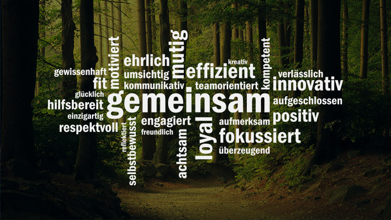 aixFOAM företagskultur